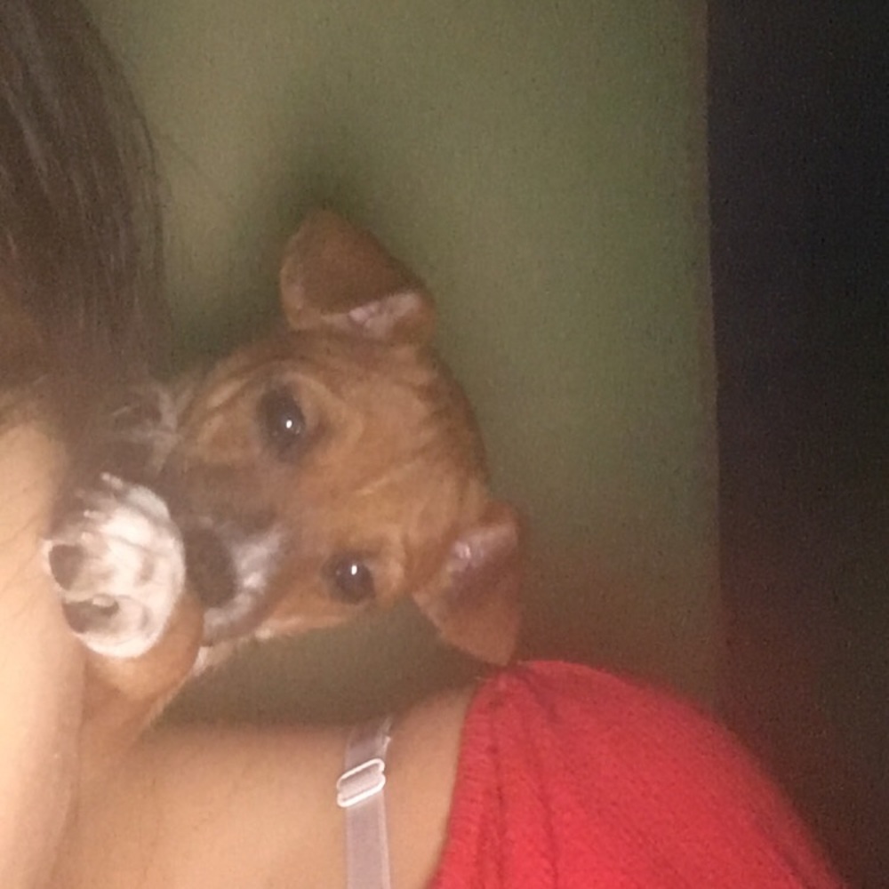 Meet your Posher, Elizabeth